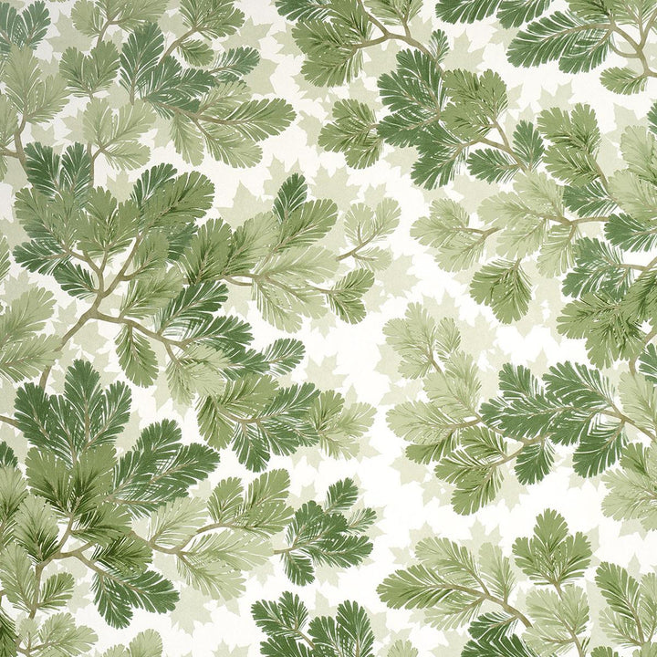 Covey Hedge Sage 5016072 by Schumacher Wallpaper A Country Life 27.0" - Fabric Carolina -
