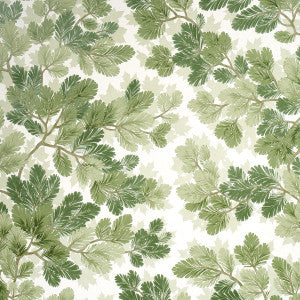 Covey Hedge Sage 5016072 by Schumacher Wallpaper