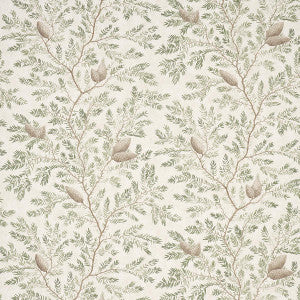 Pinewood Spruce 5016090 by Schumacher Wallpaper