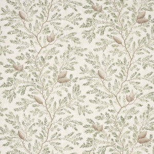 Pinewood Spruce 5016090 by Schumacher Wallpaper