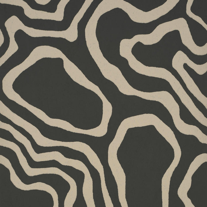 Defeo Carbon 5016102 by Schumacher Wallpaper Mesa 20.5" - Fabric Carolina -