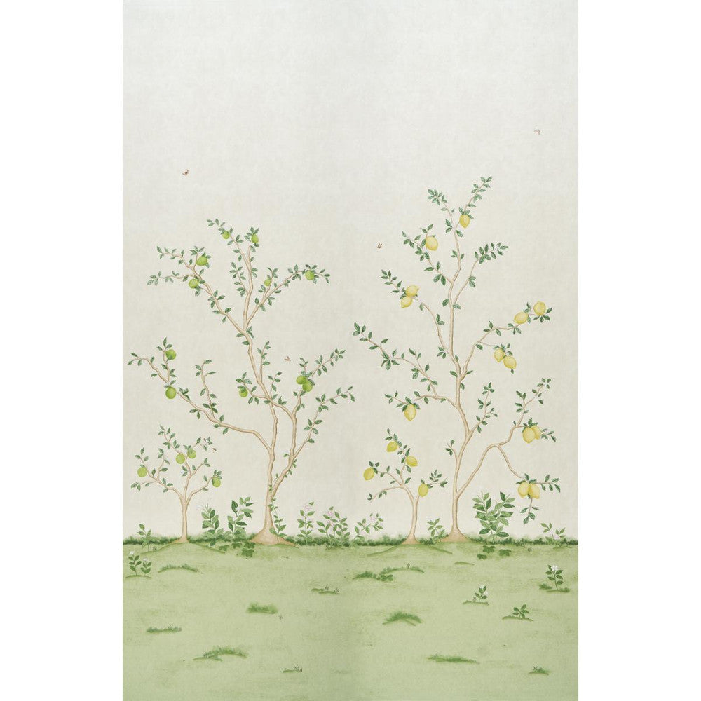 Citrus Blossom 2 Cream 5017160 by Schumacher Wallpaper Botanical Garden 108.0" - Fabric Carolina -