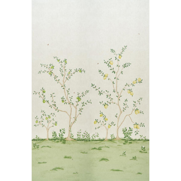 Citrus Blossom 2 Cream 5017160 by Schumacher Wallpaper Botanical Garden 108.0" - Fabric Carolina -