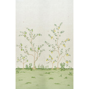 Citrus Blossom 2 Cream 5017160 by Schumacher Wallpaper