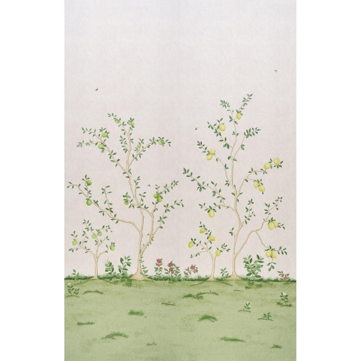 Citrus Blossom 2 Blush 5017161 by Schumacher Wallpaper Botanical Garden 108.0" - Fabric Carolina -