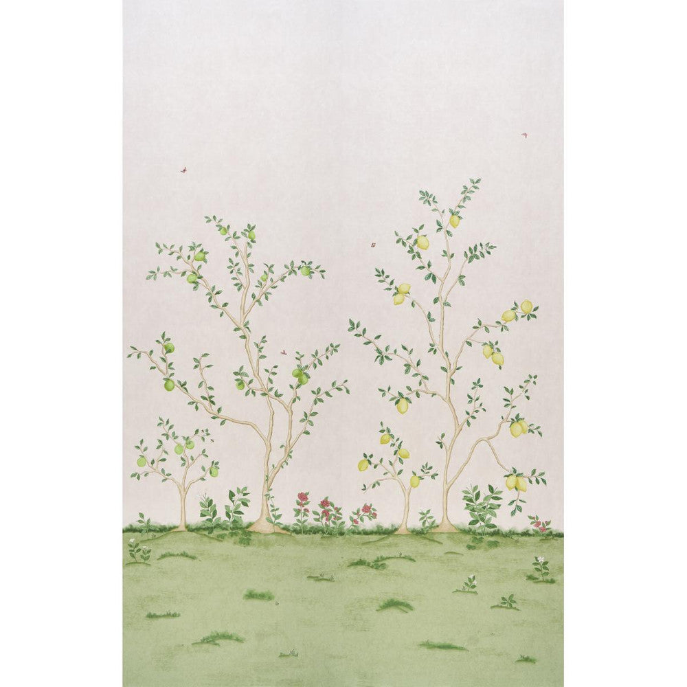 Citrus Blossom 2 Blush 5017161 by Schumacher Designer Wallpaper Botanical Garden 108.0" - Swanky Fabrics -