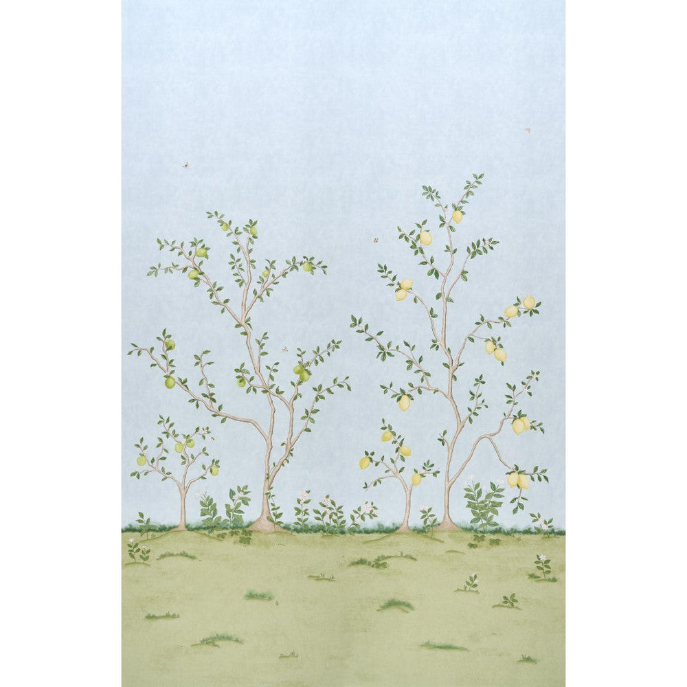 Citrus Blossom 2 Sky 5017162 by Schumacher Wallpaper Botanical Garden 108.0" - Fabric Carolina -