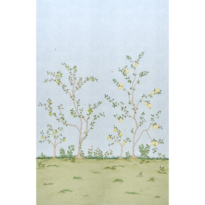 Citrus Blossom 2 Sky 5017162 by Schumacher Wallpaper Botanical Garden 108.0" - Fabric Carolina -