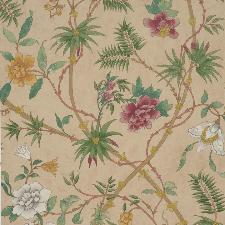 Arasi Botanical Coral 5017170 by Schumacher Wallpaper Botanical Garden 27.0" - Fabric Carolina -
