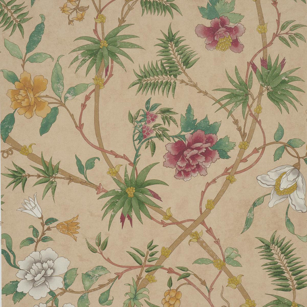 Arasi Botanical Coral 5017170 by Schumacher Designer Wallpaper Botanical Garden 27.0" - Swanky Fabrics -