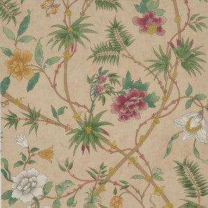 Arasi Botanical Coral 5017170 by Schumacher Wallpaper