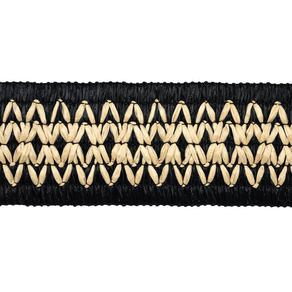 Raphiinae Tape Black 83551 by Schumacher Trim Mesa - Fabric Carolina -