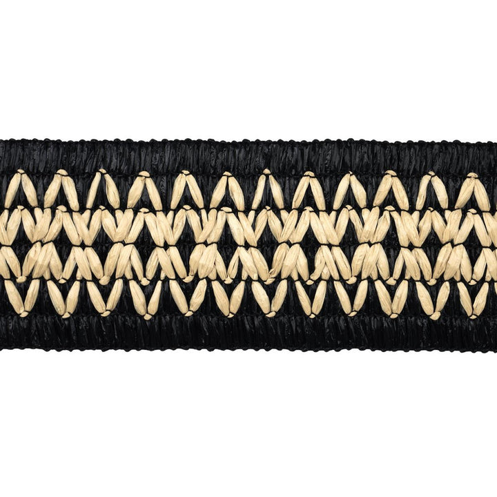 Raphiinae Tape Black 83551 by Schumacher Trim Mesa - Fabric Carolina -