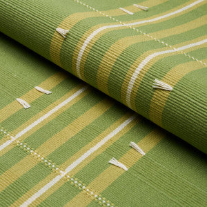 Remmy Hand Woven Stripe Leaf 84781 by Schumacher Fabric