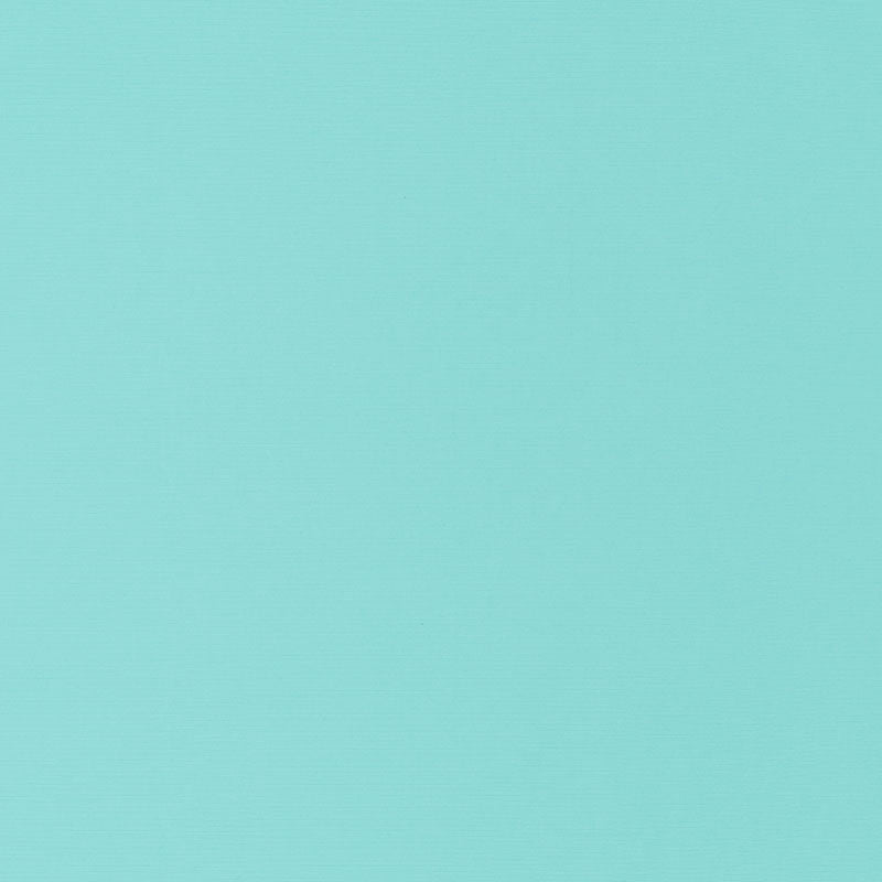 Santa Margherita Aqua 70954 by Schumacher Fabric Riviera 100% Solution Martindale 10,000 Horizontal: - and Vertical: - 56.5 - Fabric Carolina -