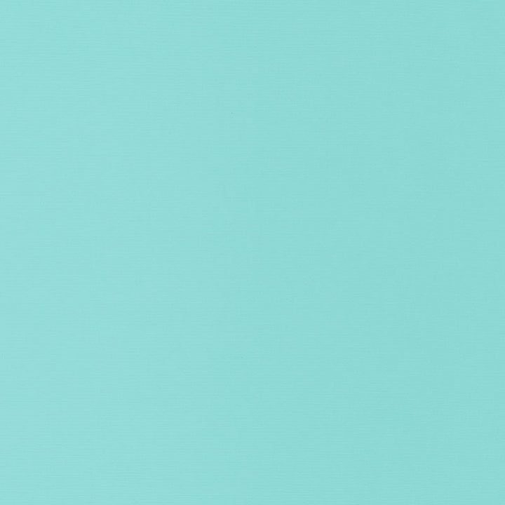 Santa Margherita Aqua 70954 by Schumacher Fabric Riviera 100% Solution Martindale 10,000 Horizontal: - and Vertical: - 56.5 - Fabric Carolina -