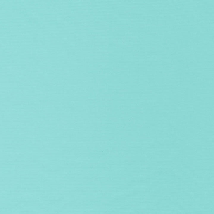 Santa Margherita Aqua 70954 by Schumacher Fabric RIVIERA INDOOR/OUTDOOR SOLUTION DYED ACRYLIC 100% ITALY MARTINDALE 10,000 </p><p>Repeat: Horizontal: and Vertical: 56.5 - Fabric Carolina -