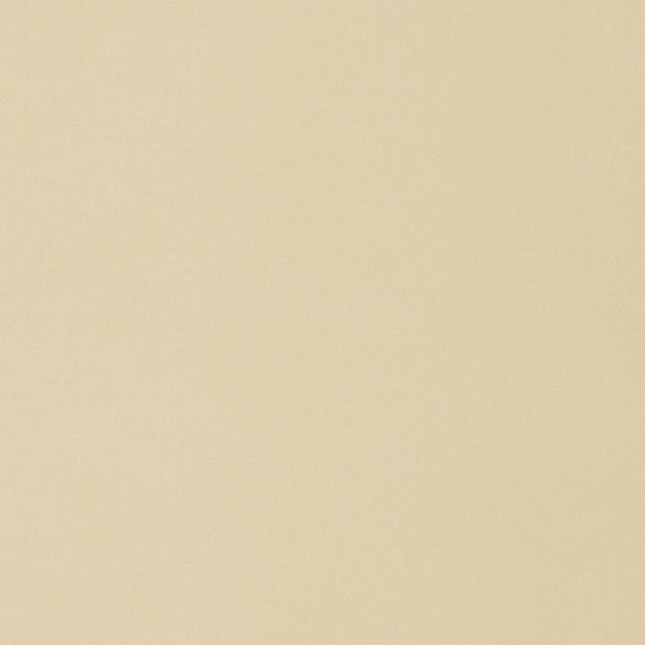 Portofino Chamois 70962 by Schumacher Fabric Riviera 100% Solution Martindale 17,000 Horizontal: - and Vertical: - 59 - Fabric Carolina -