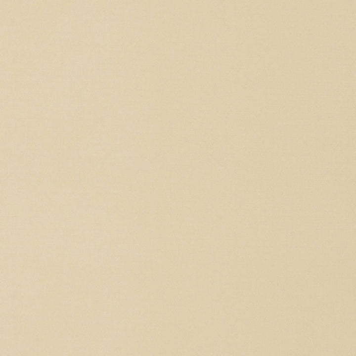Portofino Chamois 70962 by Schumacher Fabric RIVIERA INDOOR/OUTDOOR See Sample ITALY LIGHT DUTY </p><p>Repeat: Horizontal: - and Vertical: - 59" (150CM) - Fabric Carolina -