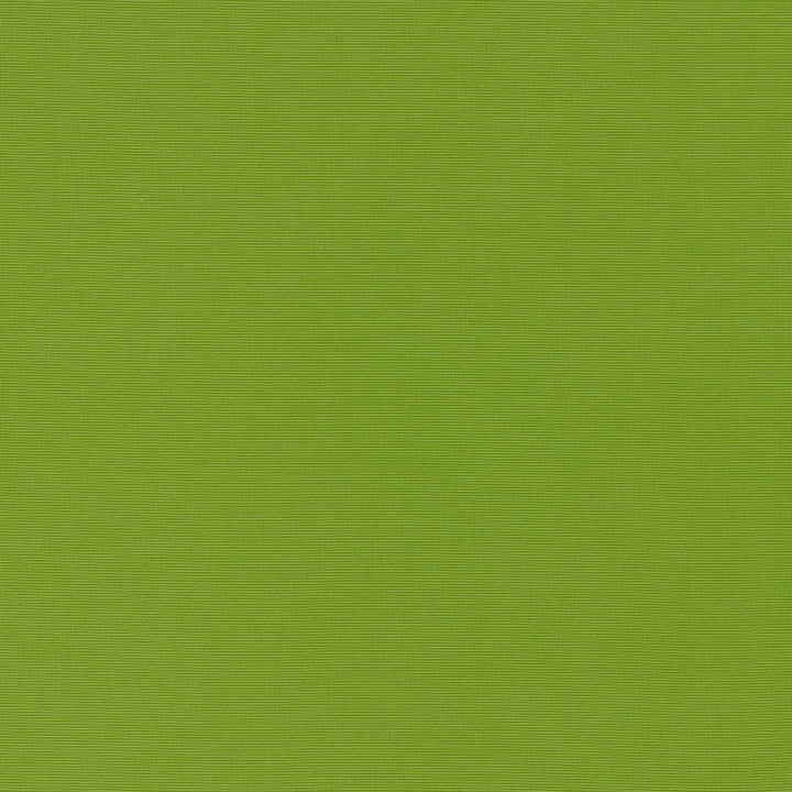 Alassio Lime 70992 by Schumacher Fabric Riviera 100% Solution Martindale 12,000 Horizontal: - and Vertical: - 58 - Fabric Carolina -