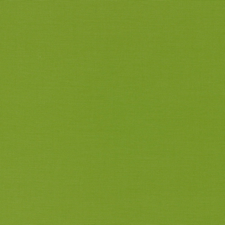Alassio Lime 70992 by Schumacher Fabric RIVIERA INDOOR/OUTDOOR SOLUTION DYED ACRYLIC 100% ITALY MARTINDALE 12,000 </p><p>Repeat: Horizontal: and Vertical: 58 - Fabric Carolina -