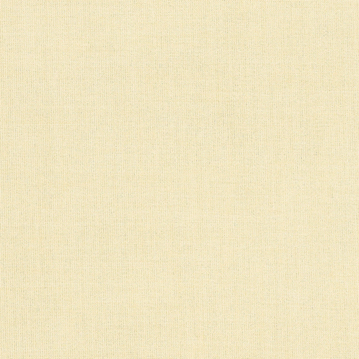 40061-0003 Meridian Vellum by Sunbrella Fabric Sunbrella Acrylic USA or Imported 5-Year Horizontal: and Vertical: 60 54 in. - Fabric Carolina -