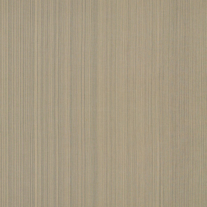 Poetto Strie Rattan 71003 by Schumacher Fabric Riviera 100% Solution Martindale 16,000 Horizontal: - and Vertical: - 56 - Fabric Carolina -