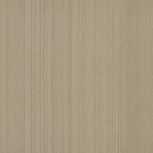 Poetto Strie Rattan 71003 by Schumacher Fabric