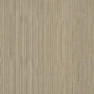 Poetto Strie Rattan 71003 by Schumacher Fabric