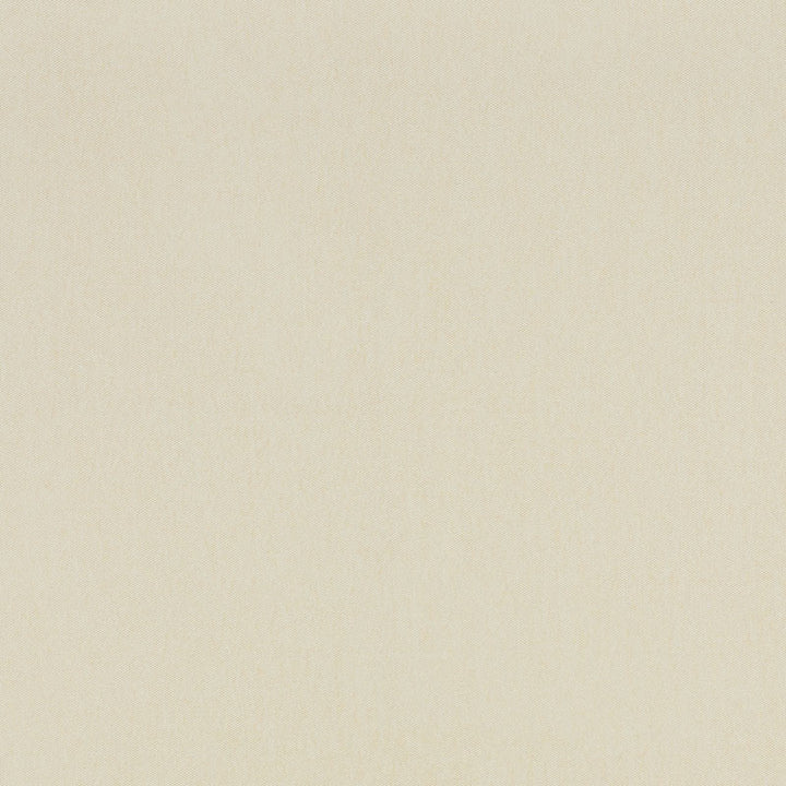 Trapani Oyster 71010 by Schumacher Fabric Riviera 100% Solution Martindale 26,000 Horizontal: - and Vertical: - 59 - Fabric Carolina -