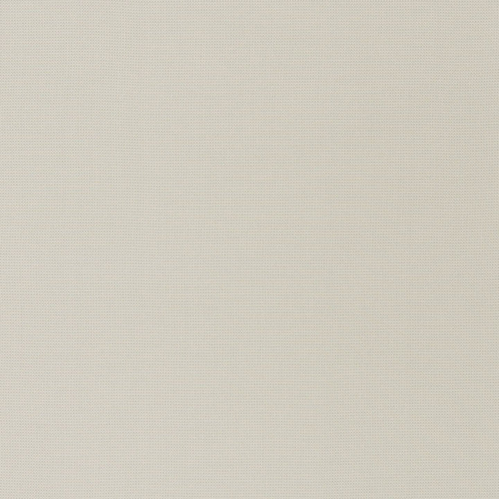 Mondello Platinum 71020 by Schumacher Fabric Riviera 100% Solution Martindale 16,000 Horizontal: - and Vertical: - 55.5 - Fabric Carolina -