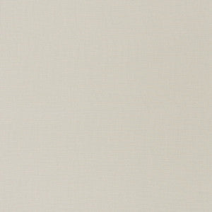 Mondello Platinum 71020 by Schumacher Fabric