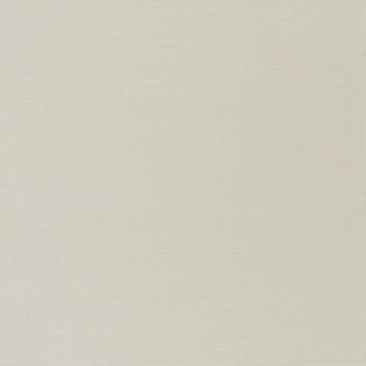 Mondello Platinum 71020 by Schumacher Fabric RIVIERA INDOOR/OUTDOOR SOLUTION DYED ACRYLIC 100% ITALY MARTINDALE 16,000 </p><p>Repeat: Horizontal: and Vertical: 55.5 - Fabric Carolina -
