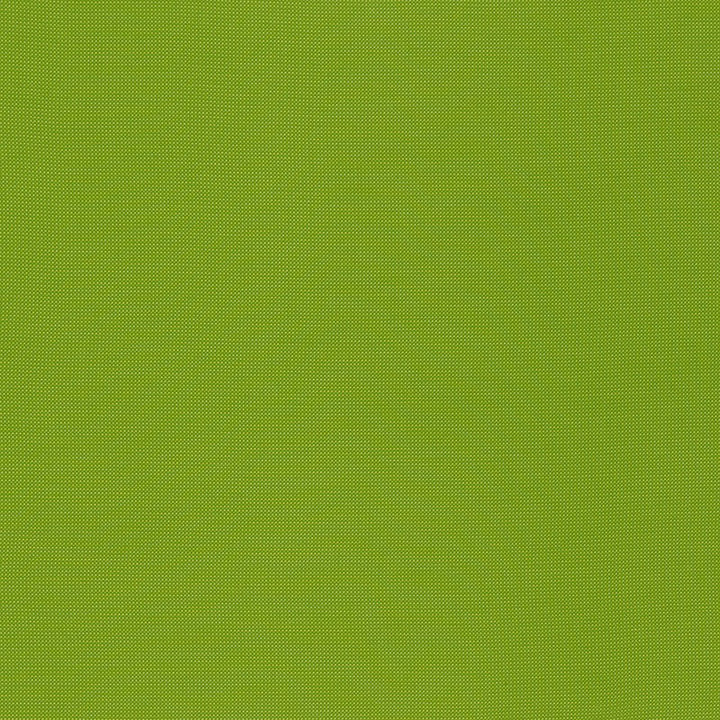 Mondello Lime 71032 by Schumacher Fabric Riviera 100% Solution Martindale 13,000 Horizontal: - and Vertical: - 55.5 - Fabric Carolina -