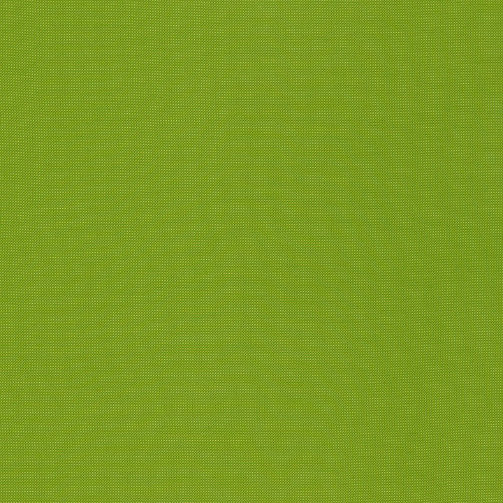Mondello Lime 71032 by Schumacher Fabric RIVIERA INDOOR/OUTDOOR See Sample ITALY LIGHT DUTY </p><p>Repeat: Horizontal: - and Vertical: - 55 1/2" (141CM) - Fabric Carolina -