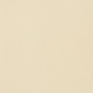 Ravello Ecru 71042 by Schumacher Fabric