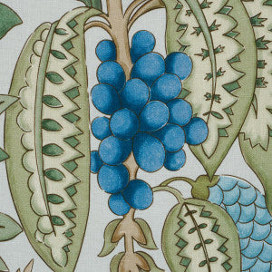Fruits De Saison Kiwi 182481 by Schumacher Fabric