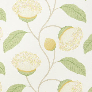 Celinda Citrus 5016362 by Schumacher Wallpaper