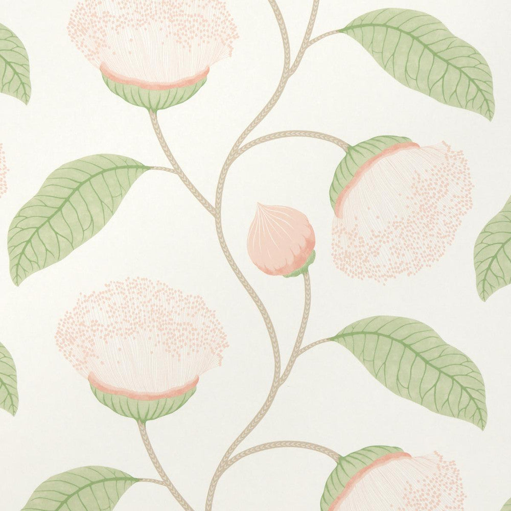 Celinda Blush 5016360 by Schumacher Designer Wallpaper A Love Affair 18.0" - Swanky Fabrics -