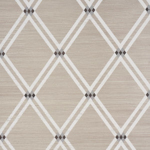 Asolo Sisal Silver 5016540 by Schumacher Wallpaper