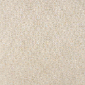 Anderson Bamboo 71131 by Schumacher Fabric