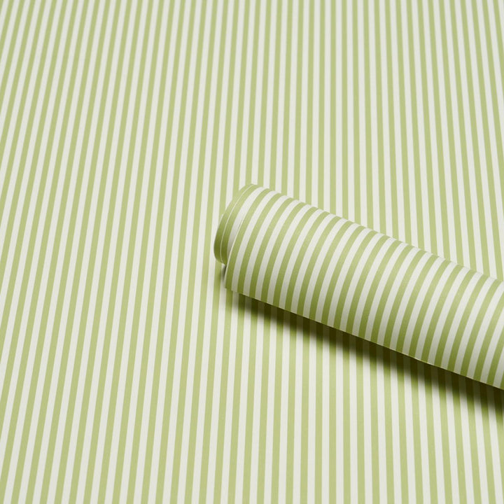 Emma Stripe Narrow Leaf 5017193 by Schumacher Wallpaper Perennial Favorites - Fabric Carolina -