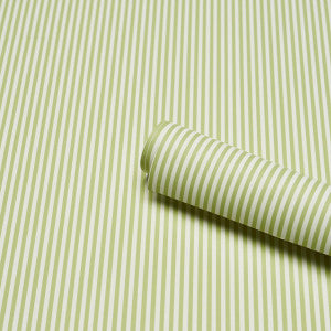 Emma Stripe Narrow Leaf 5017193 by Schumacher Wallpaper