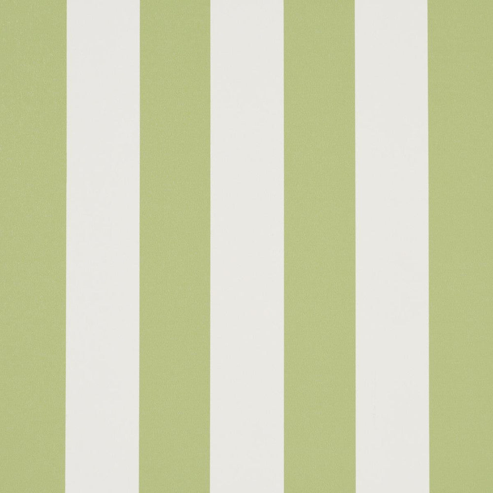 Emma Stripe Leaf 5017215 by Schumacher Designer Wallpaper Perennial Favorites 2.5" - Swanky Fabrics -