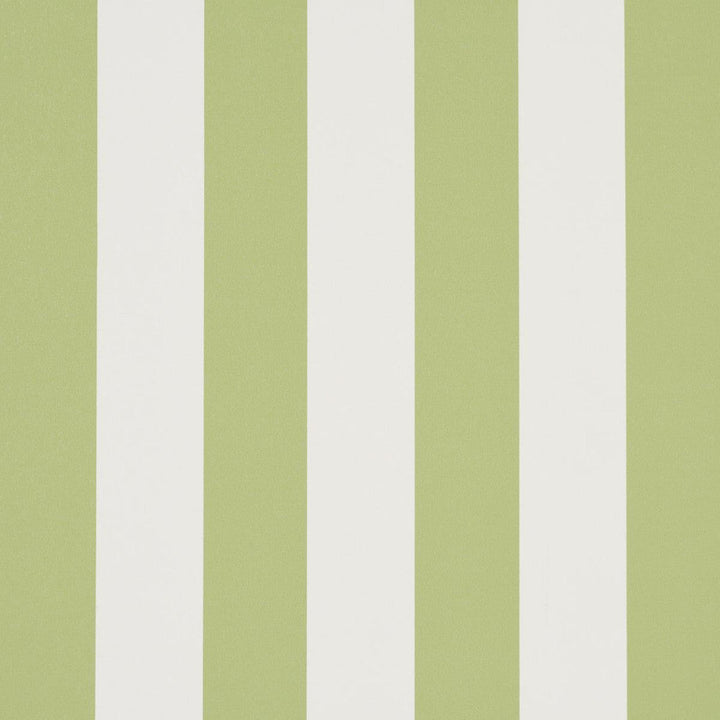 Emma Stripe Leaf 5017215 by Schumacher Designer Wallpaper Perennial Favorites 2.5" - Swanky Fabrics -