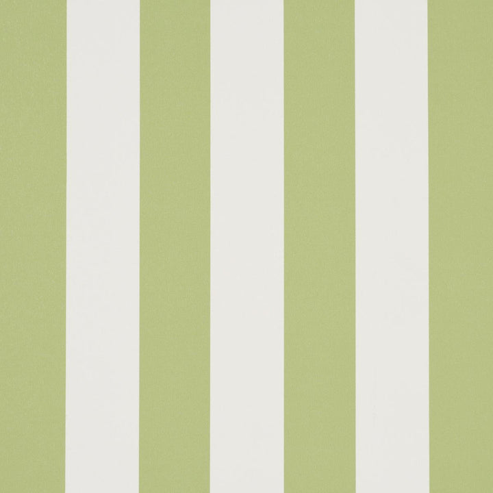 Emma Stripe Leaf 5017215 by Schumacher Wallpaper Perennial Favorites 2.5" - Fabric Carolina -