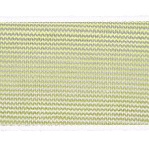 Sandpiper Tape Wide Green 79384 by Schumacher Trim