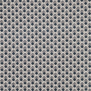 Morgan Onyx 71170 by Schumacher Fabric