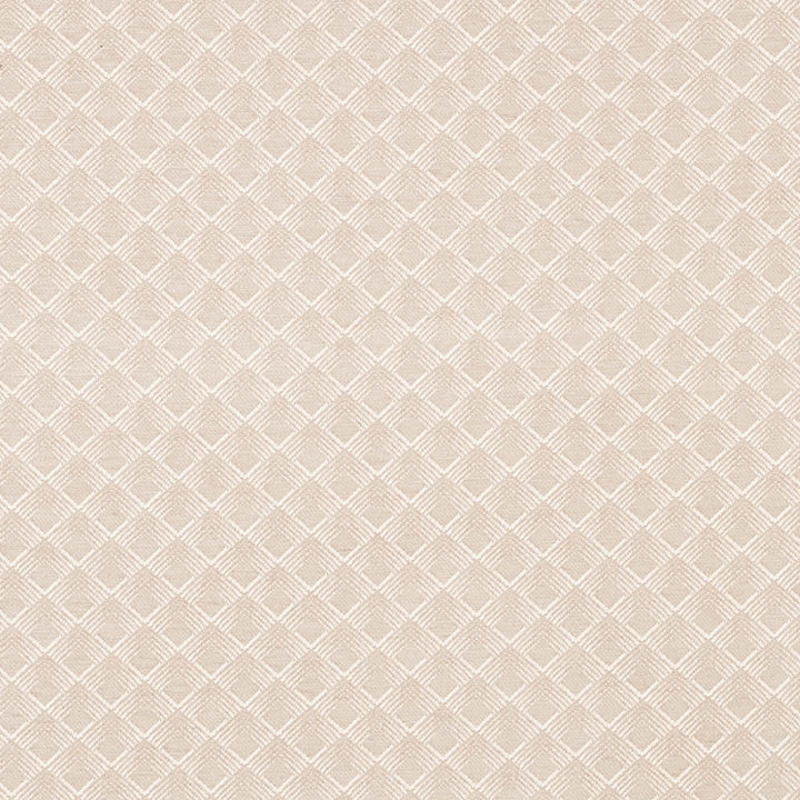 Morgan Pearl Grey 71171 by Schumacher Fabric Essentials-Luxe-Upholstery 62% Viscose, 33% Cotton, 5% Polyester Wyzenbeek 27,000 Horizontal: 1.75 and Vertical: 1.5 55 - Fabric Carolina -