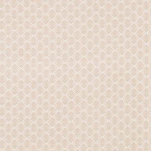 Morgan Pearl Grey 71171 by Schumacher Fabric